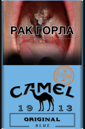 Camel original 2024